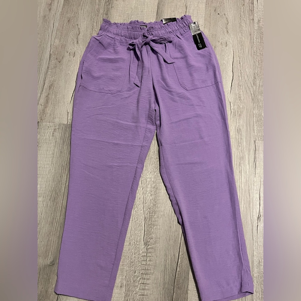 Dressy pants lavender brand new